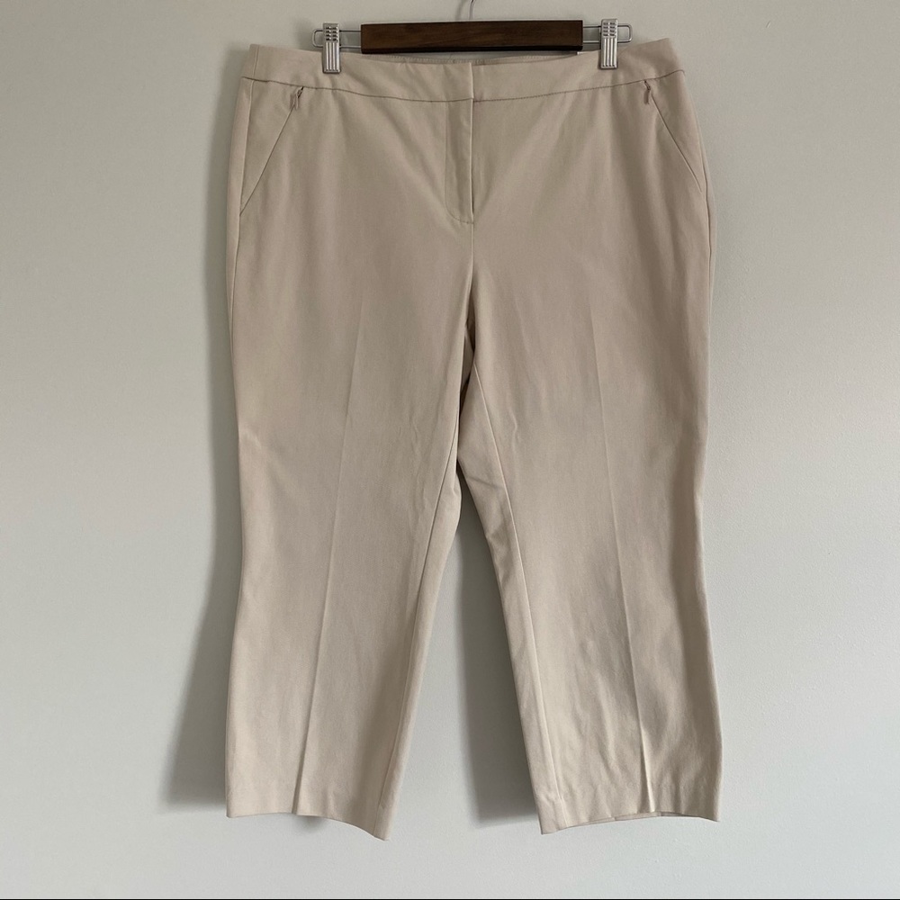 Alfani Stretch Capri Beige